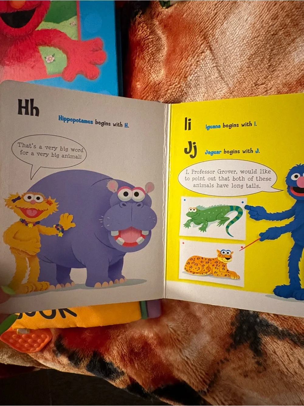Sesame Street & Baby Learning Book Lot Elmo ABC Touch & Feel 4 Books